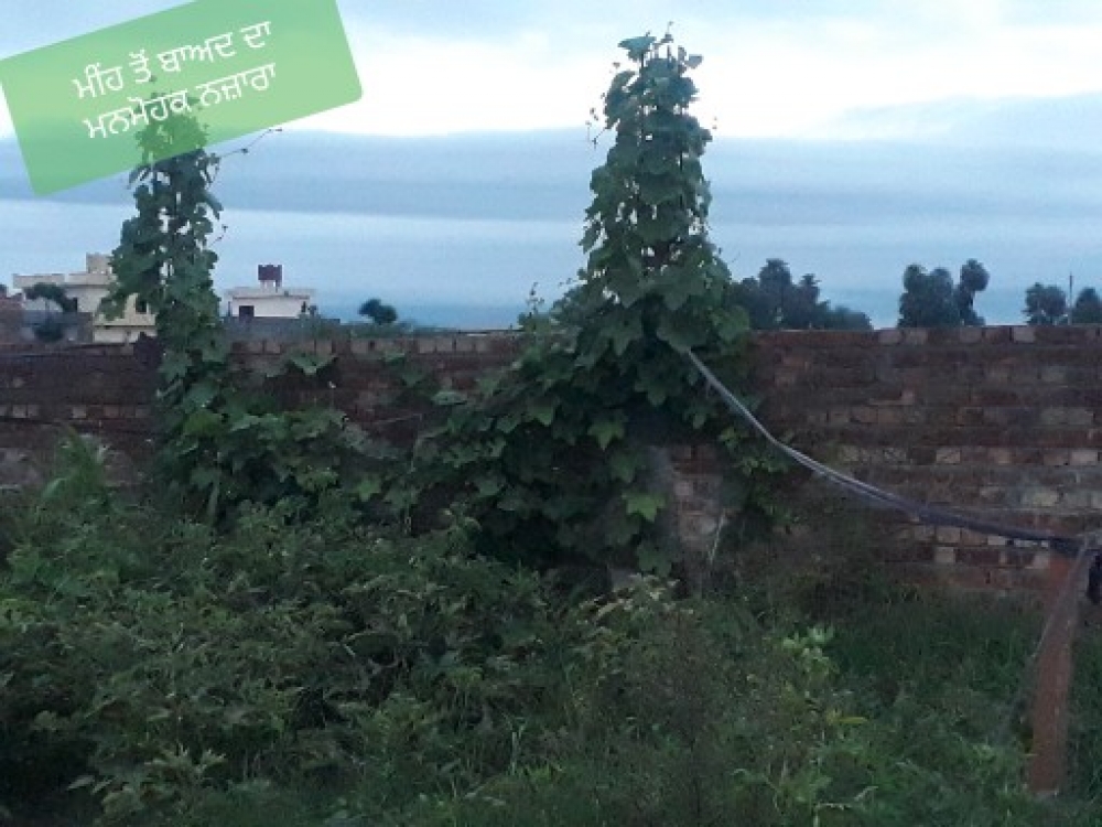 PPA Punjab Photo Gallery