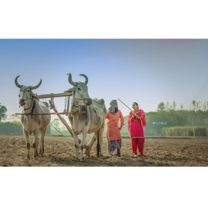 PPA Punjab Photo Gallery